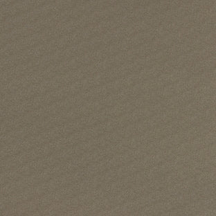 Serge Ferrari Stamoid Light Taupe F4128-20165 102-Inch Marine/Shade Fabric Serge Ferrari Stamoid Light Taupe F4128-20165 102-Inch Marine/Shade Fabric