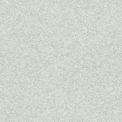 Sample of Zodiac 26 Silver Automotive Upholstery Fabric Sample of Zodiac 26 Silver Automotive Upholstery Fabric