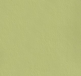 Olympus Honeydew OLY310ADF Contract Automotive and Marine Upholstery Fabric