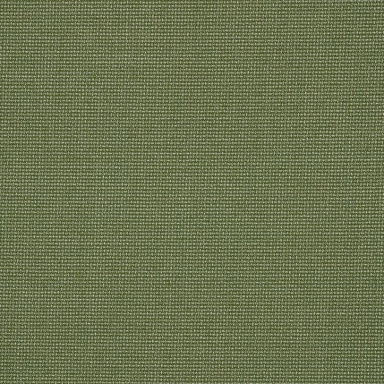 Sunbrella Bliss Aloe 48135-0017 Perspectives Collection Upholstery Fabric Sunbrella Bliss Aloe 48135-0017 Perspectives Collection Upholstery Fabric