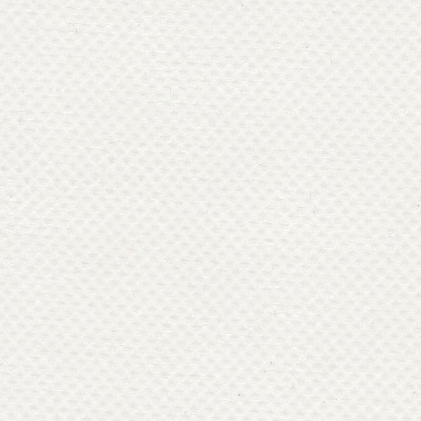 AbbeyShea Apollo 6 White Tarp Fabric