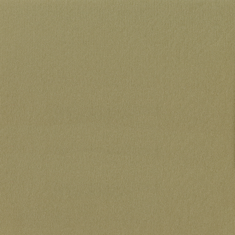 Yellowstone Headliner Brushed Knit 2220 Light Beige 60 Inch Automotive Fabric Yellowstone Headliner Brushed Knit 2220 Light Beige 60 Inch Automotive Fabric