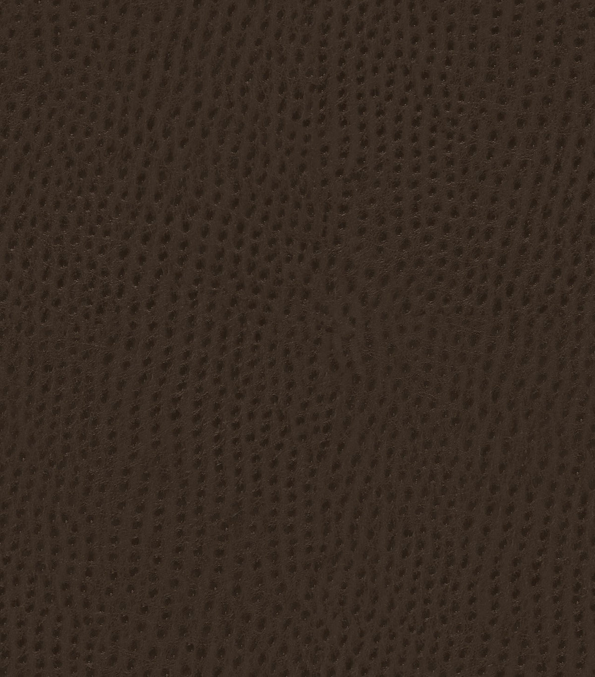 Mayer Outback Java OB-000 Upholstery Fabric Mayer Outback Java OB-000 Upholstery Fabric