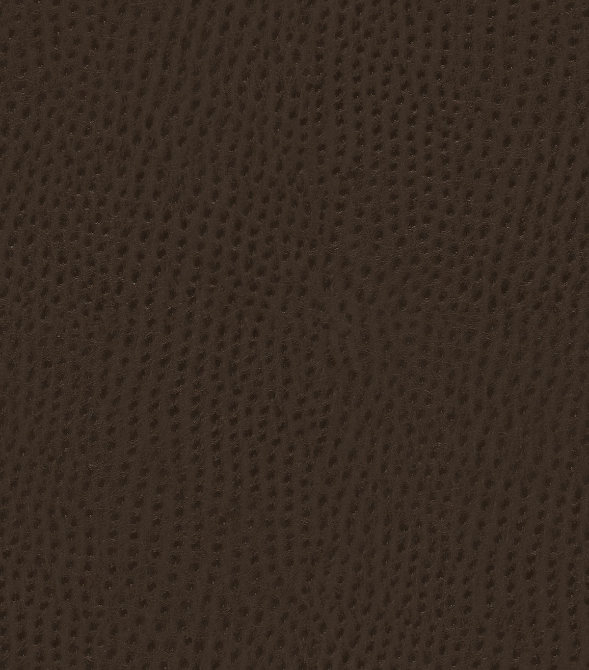 Mayer Outback Java OB-000 Upholstery Fabric Mayer Outback Java OB-000 Upholstery Fabric
