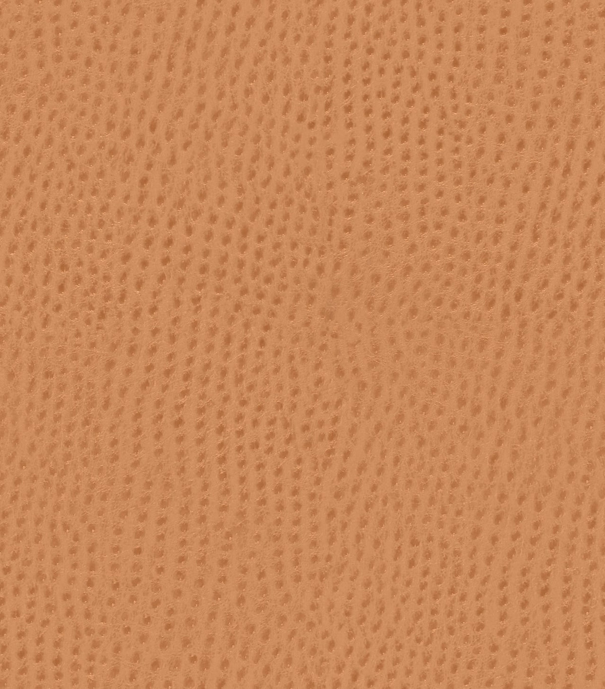 Mayer Outback Spice OB-009 Upholstery Fabric Mayer Outback Spice OB-009 Upholstery Fabric