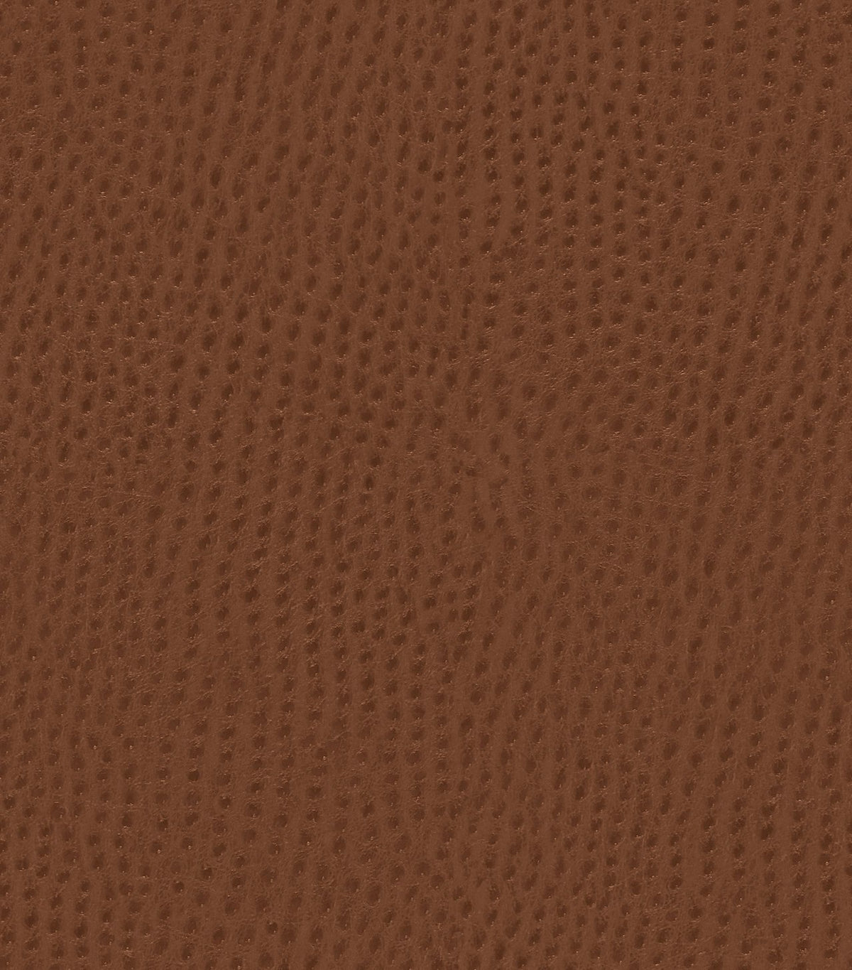 Mayer Outback Saddle OB-010 Upholstery Fabric Mayer Outback Saddle OB-010 Upholstery Fabric
