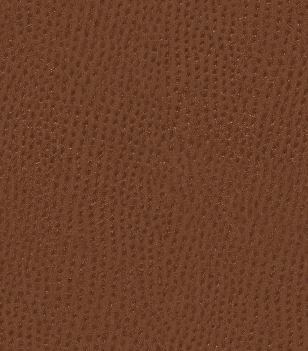Mayer Outback Saddle OB-010 Upholstery Fabric Mayer Outback Saddle OB-010 Upholstery Fabric