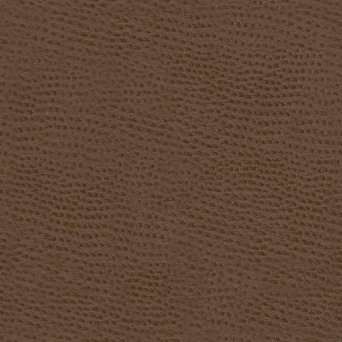 Mayer Outback Bombay OB-020 Upholstery Fabric Mayer Outback Bombay OB-020 Upholstery Fabric