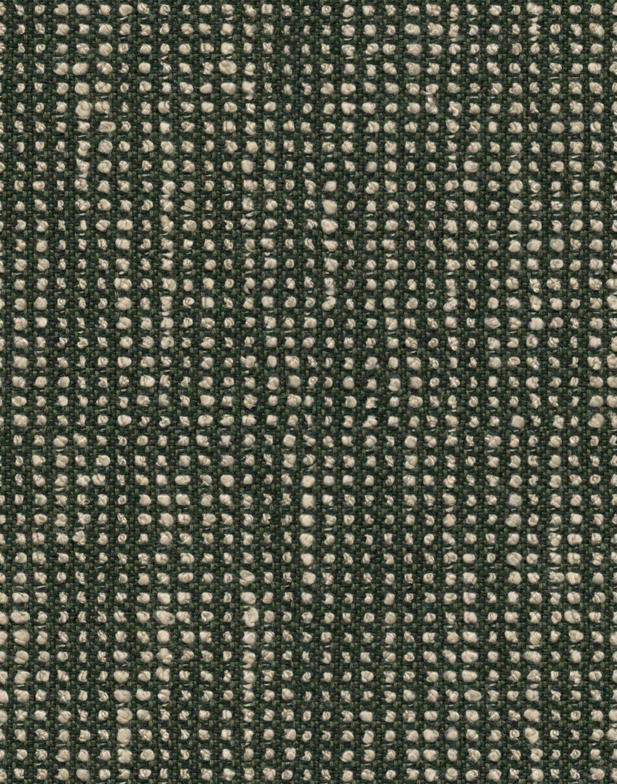 Sunbrella Slow Fern SLO 19106 140 European Collection Upholstery Fabric Sunbrella Slow Fern SLO 19106 140 European Collection Upholstery Fabric