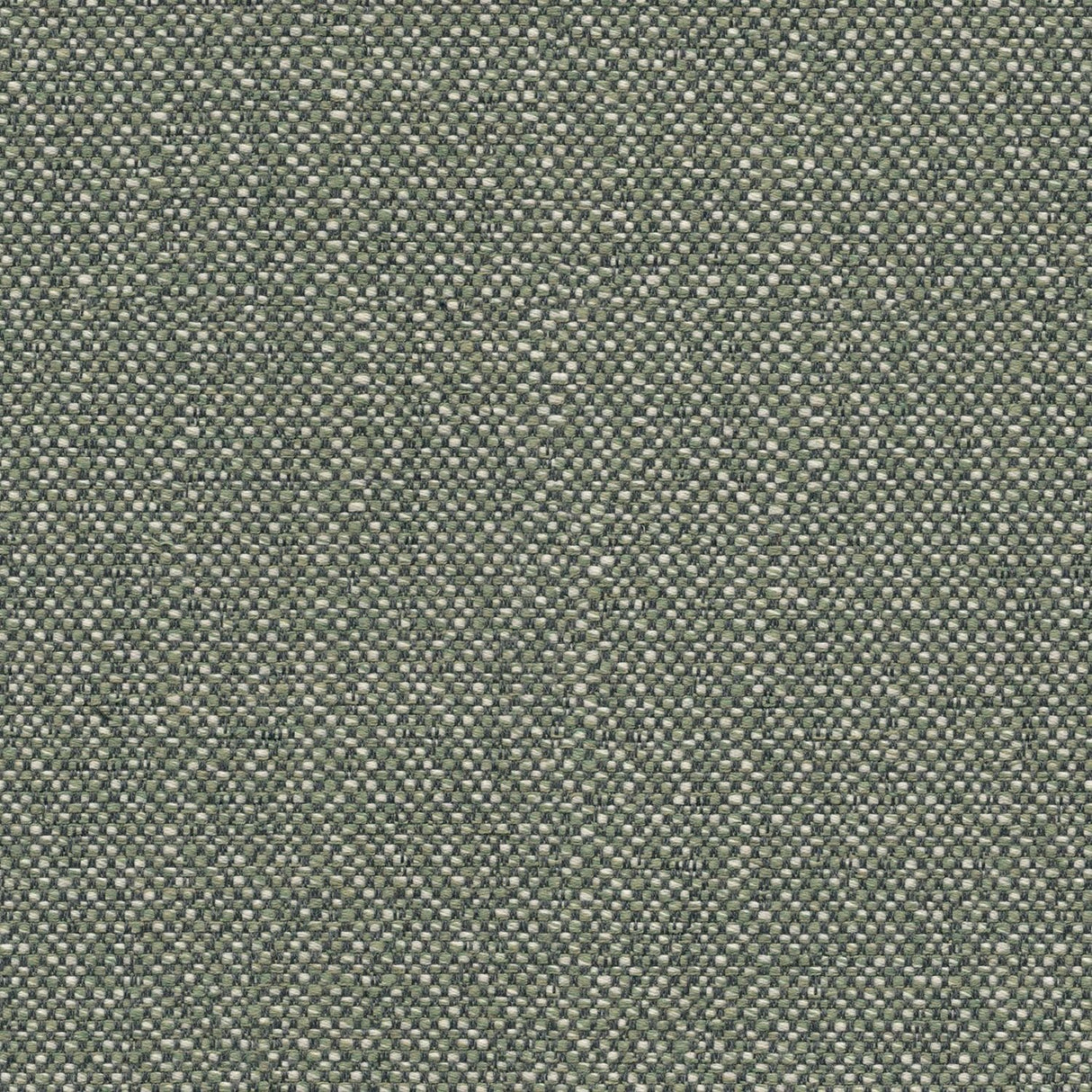 Sunbrella Savane Swamp SAV3 J449 140 European Collection Upholstery Fabric