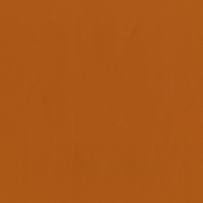 AbbeyShea Guardian 44 Pumpkin Spice Automotive Seating and Upholstery Fabric AbbeyShea Guardian 44 Pumpkin Spice Automotive Seating and Upholstery Fabric