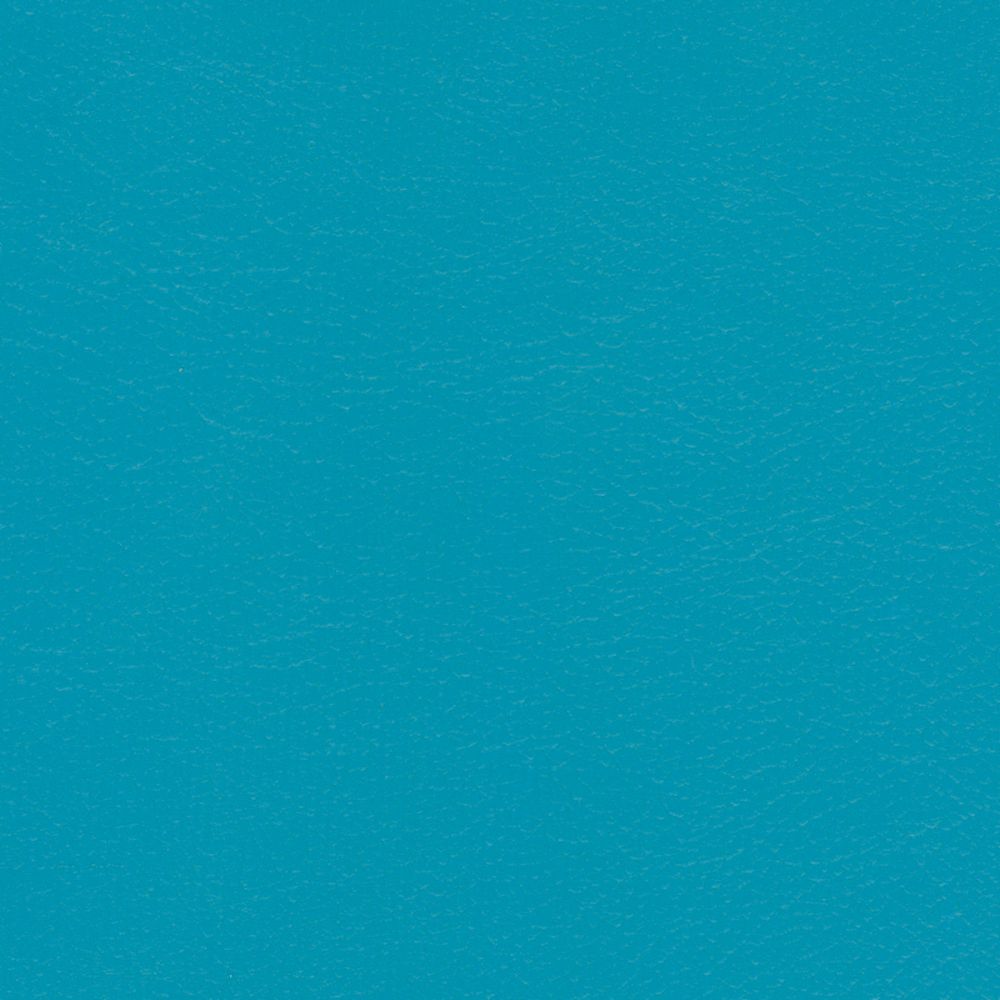 Sample of Softside Navigator 9899 Capri Automotive / Marine Upholstery Fabric Sample of Softside Navigator 9899 Capri Automotive / Marine Upholstery Fabric