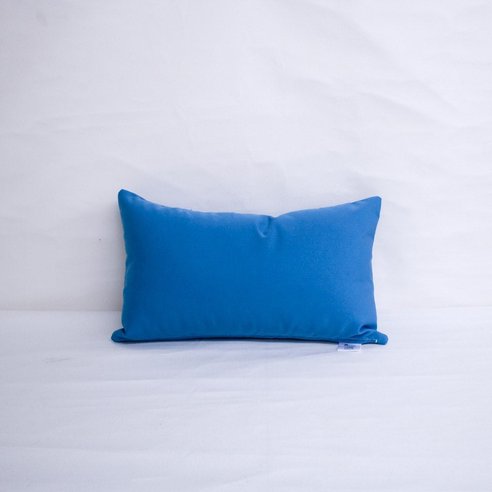 Sunbrella Canvas Sky Blue 5424-0000 Elements Collection Upholstery Fabric