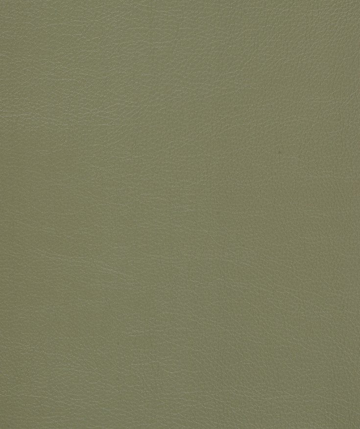 Mayer Caressa Laurel Ca-053 Upholstery Fabric