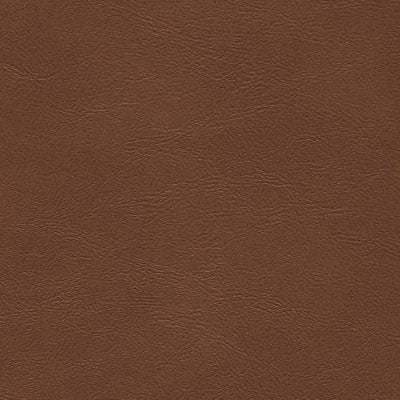 Sample of Enduratex Sierra Montana Saddle 1724 Upholstery Fabric Sample of Enduratex Sierra Montana Saddle 1724 Upholstery Fabric