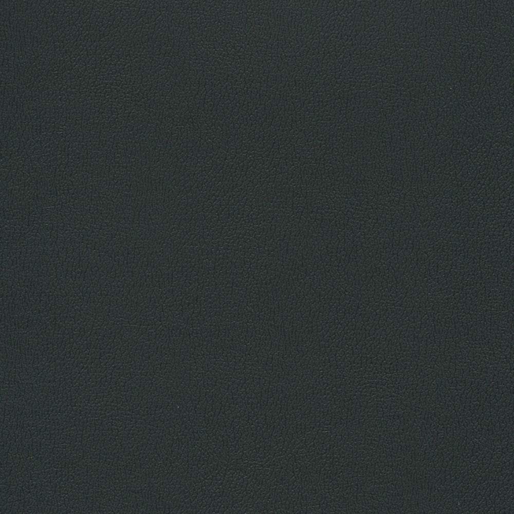 Enduratex Independence Black 8540 Upholstery Fabric