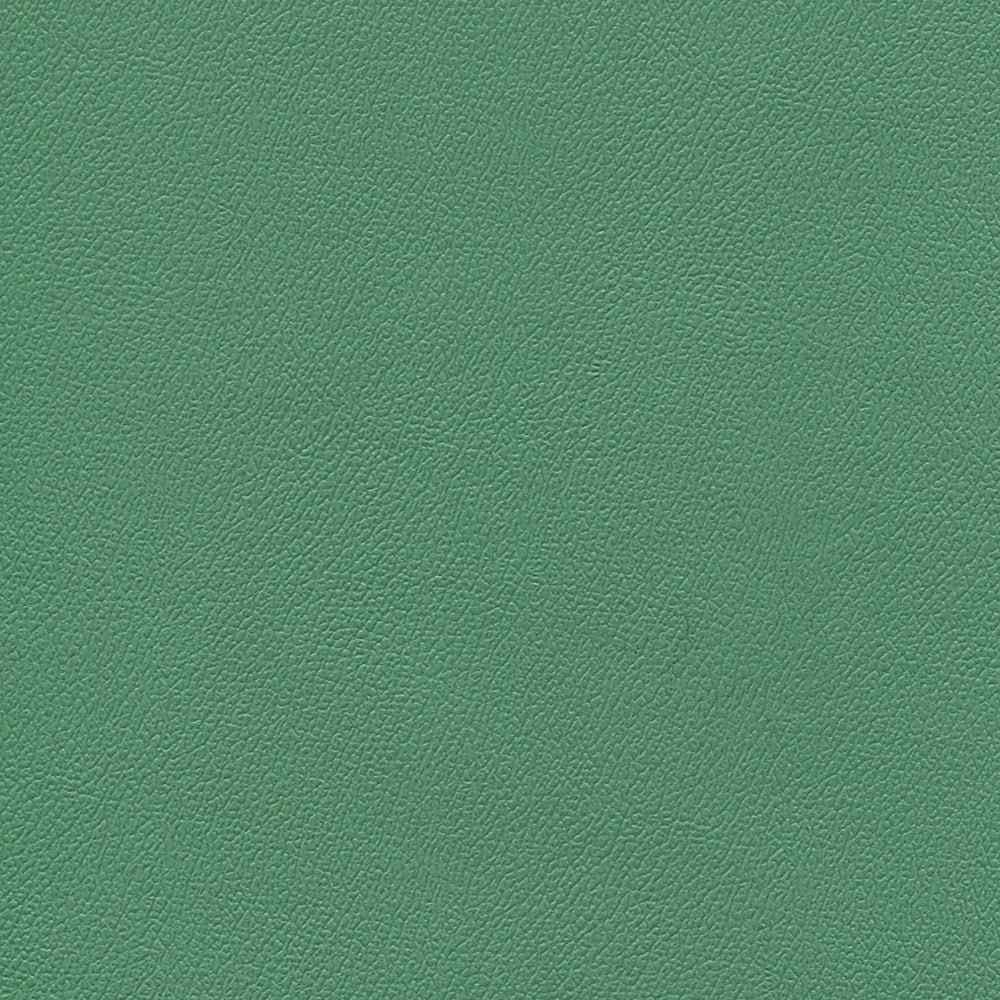 Enduratex Independence Amuse-Mint 8750 Upholstery Fabric
