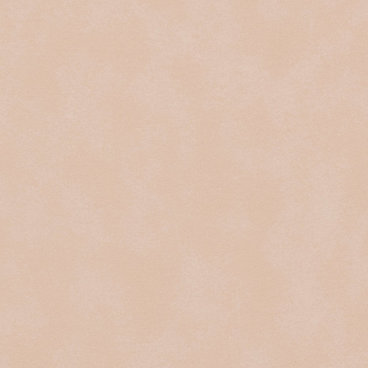 Morbern Marine Biscayne Bone BI-114 Upholstery Fabric Morbern Marine Biscayne Bone BI-114 Upholstery Fabric