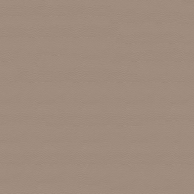 Softside Pegasus 1616 Sand Dollar Automotive / Marine Upholstery Fabric