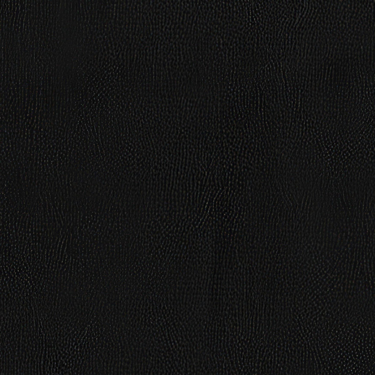 Sample of AbbeyShea Blizzard 9009 Black Automotive Faux Leather Upholstery Fabric - Outdoor Textiles Sample of AbbeyShea Blizzard 9009 Black Automotive Faux Leather Upholstery Fabric - Outdoor Textiles
