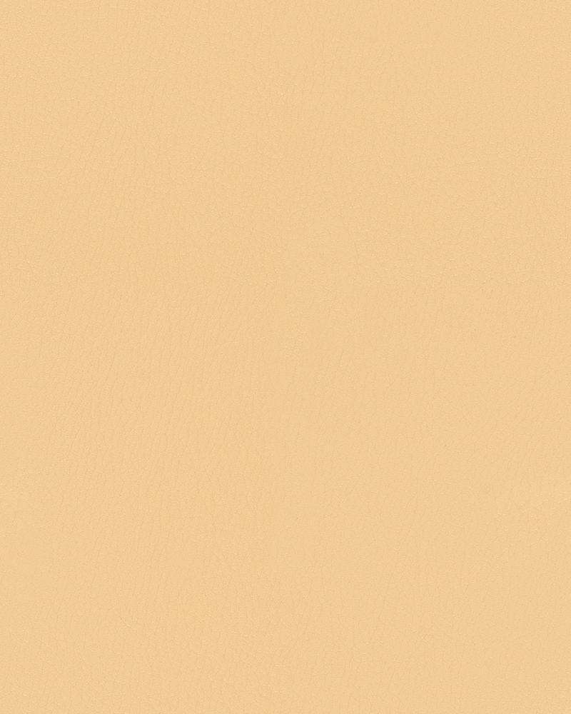Sample of Mayer Durango Chamois DU-002 Cambridge Coordinates Collection Upholstery Fabric Sample of Mayer Durango Chamois DU-002 Cambridge Coordinates Collection Upholstery Fabric