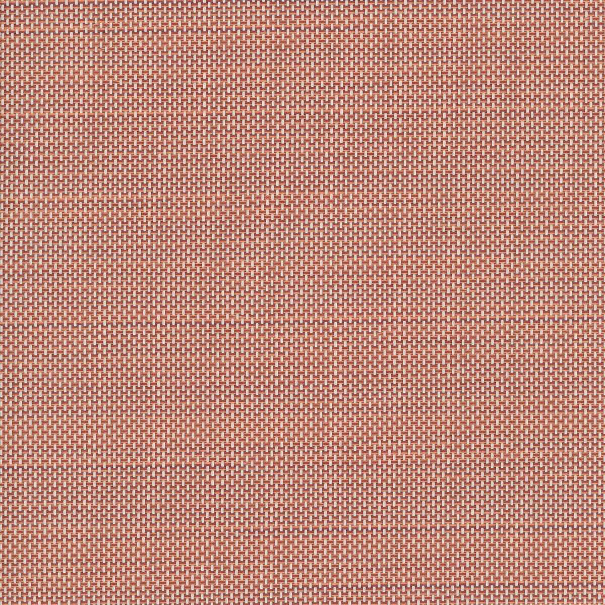 Serge Ferrari Batyline Eden Ocher 7710-51031 Sling Fabric Serge Ferrari Batyline Eden Ocher 7710-51031 Sling Fabric