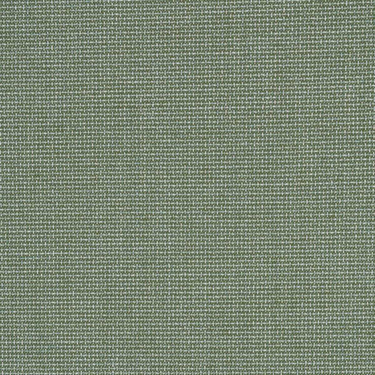 Sunbrella Bliss Aloe 48135-0017 Perspectives Collection Upholstery Fabric Sunbrella Bliss Aloe 48135-0017 Perspectives Collection Upholstery Fabric