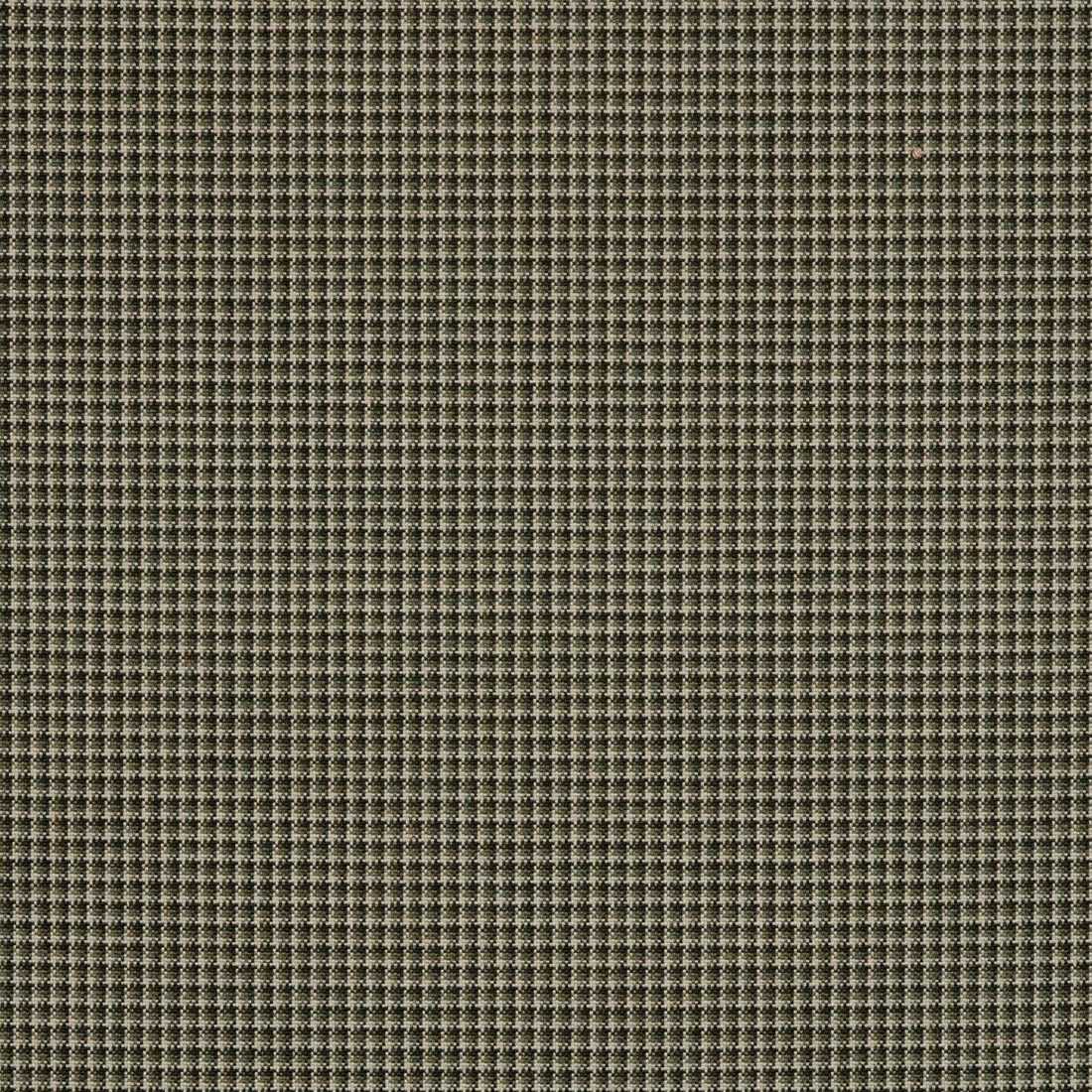 Sunbrella Lore Moss 48146-0003 Upholstery Fabric Sunbrella Lore Moss 48146-0003 Upholstery Fabric
