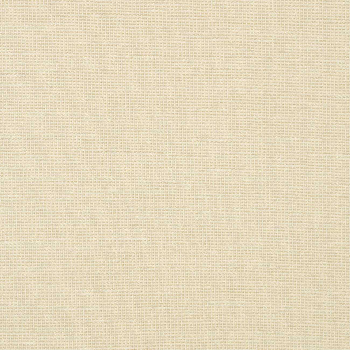 Sunbrella Rally Parchment 87005-0001 Transcend Collection Upholstery Fabric Sunbrella Rally Parchment 87005-0001 Transcend Collection Upholstery Fabric