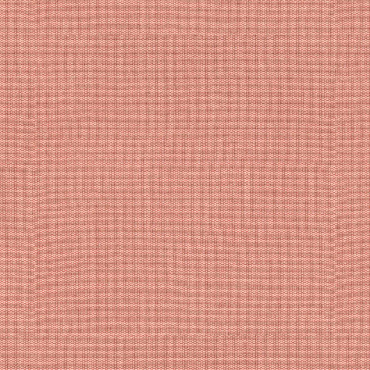 Tempotest Home Comrade Bellini 5432/26 Foundations Collection Upholstery Fabric Tempotest Home Comrade Bellini 5432/26 Foundations Collection Upholstery Fabric