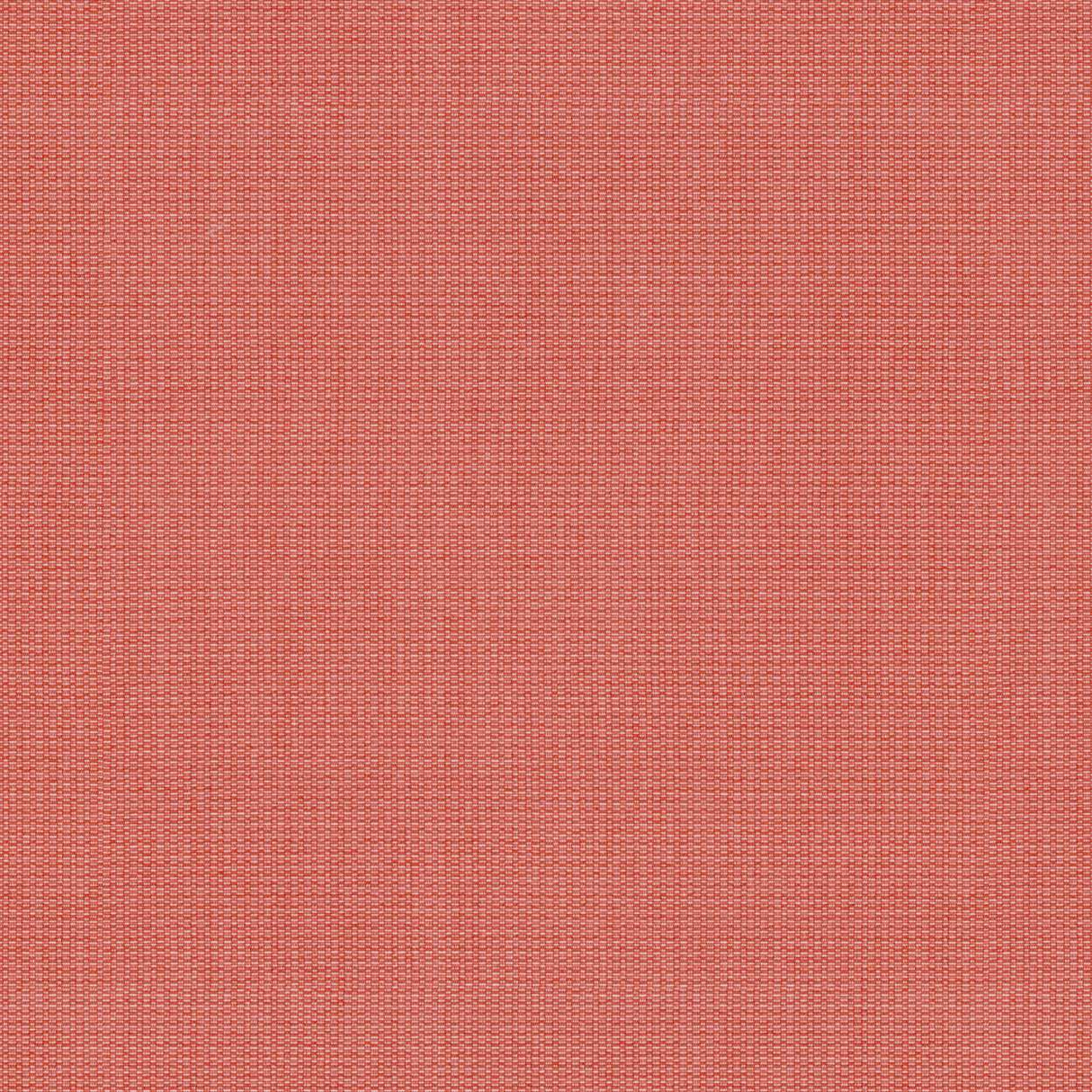 Tempotest Home Comrade Coral 5432/20 Foundations Collection Upholstery Fabric Tempotest Home Comrade Coral 5432/20 Foundations Collection Upholstery Fabric