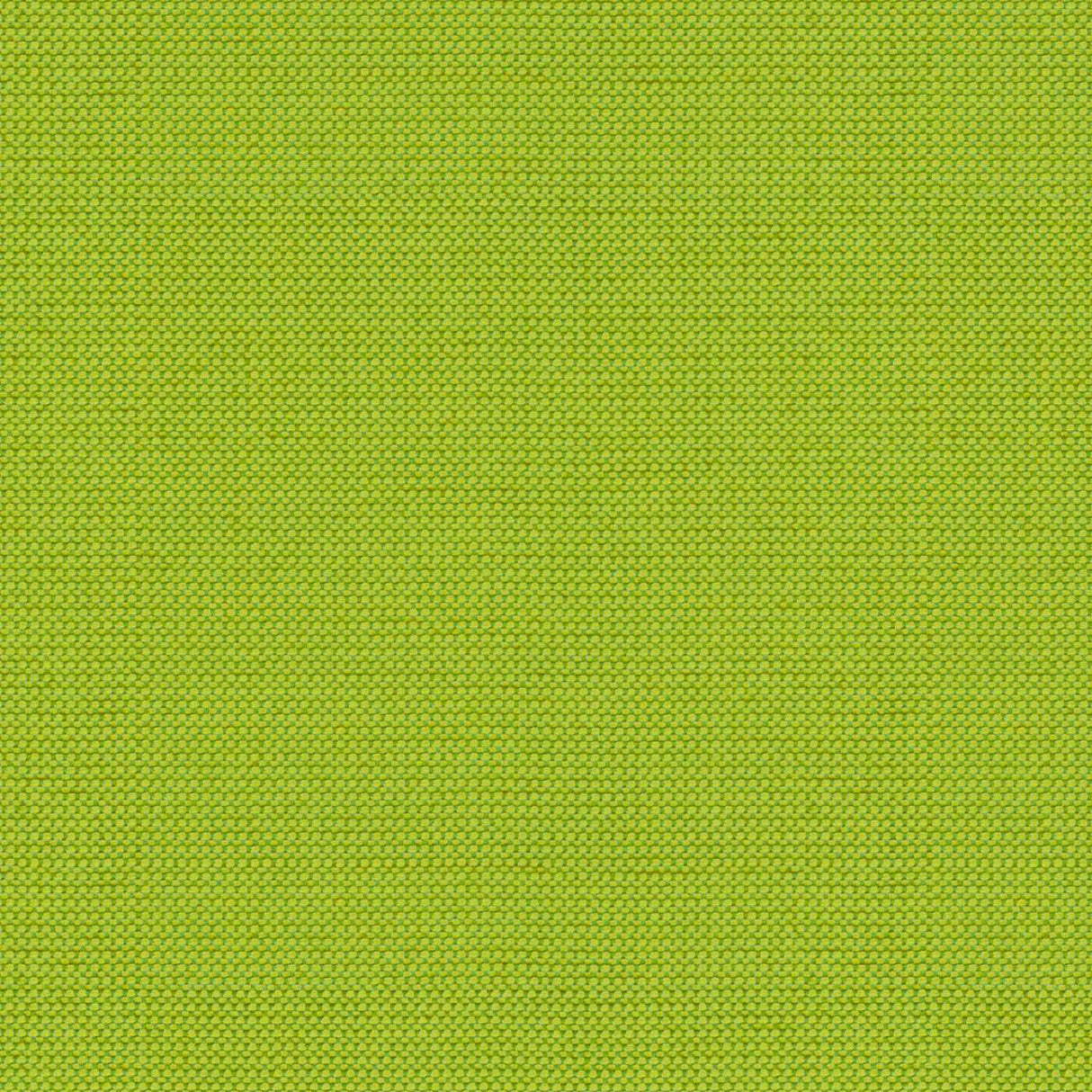 Tempotest Home Michelangelo Lime 50964/4 Foundations Collection Upholstery Fabric Tempotest Home Michelangelo Lime 50964/4 Foundations Collection Upholstery Fabric