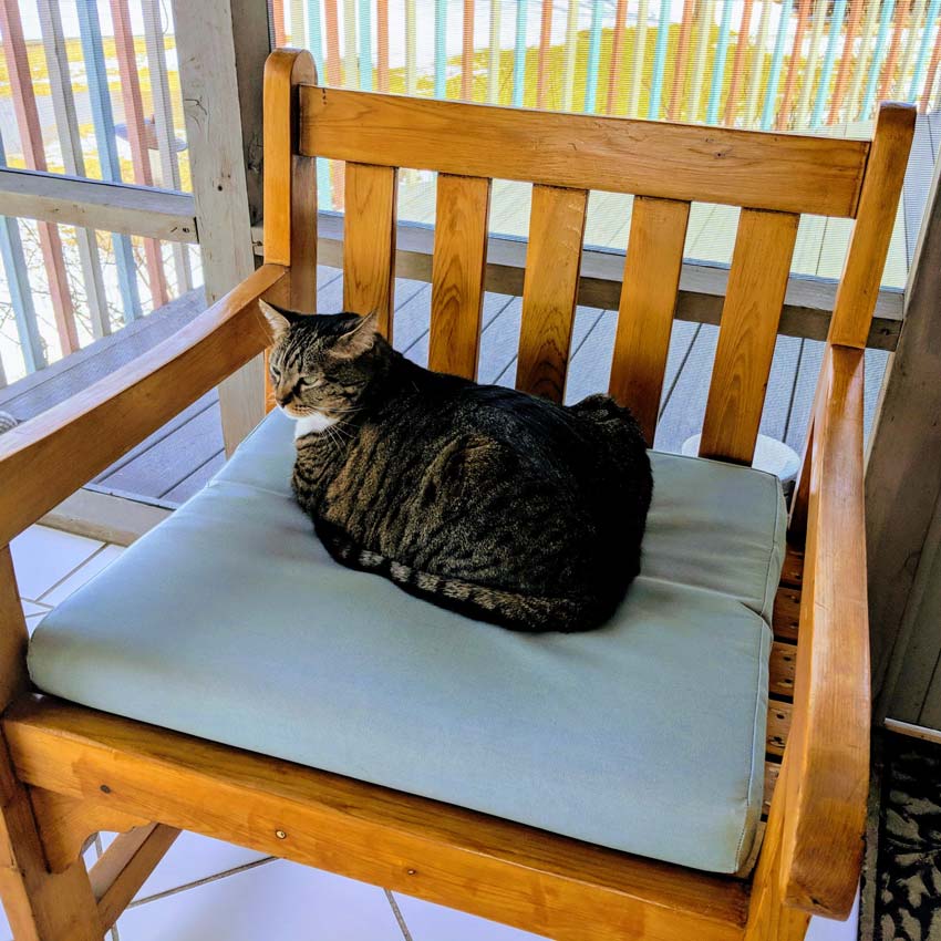 Sunbrella RAIN Canvas Spa 5413-0000 77 Waterproof Upholstery Fabric