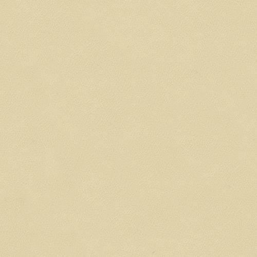 Spirit 385 Parchment Contract Automotive and Marine Upholstery Fabric Spirit 385 Parchment Contract Automotive and Marine Upholstery Fabric