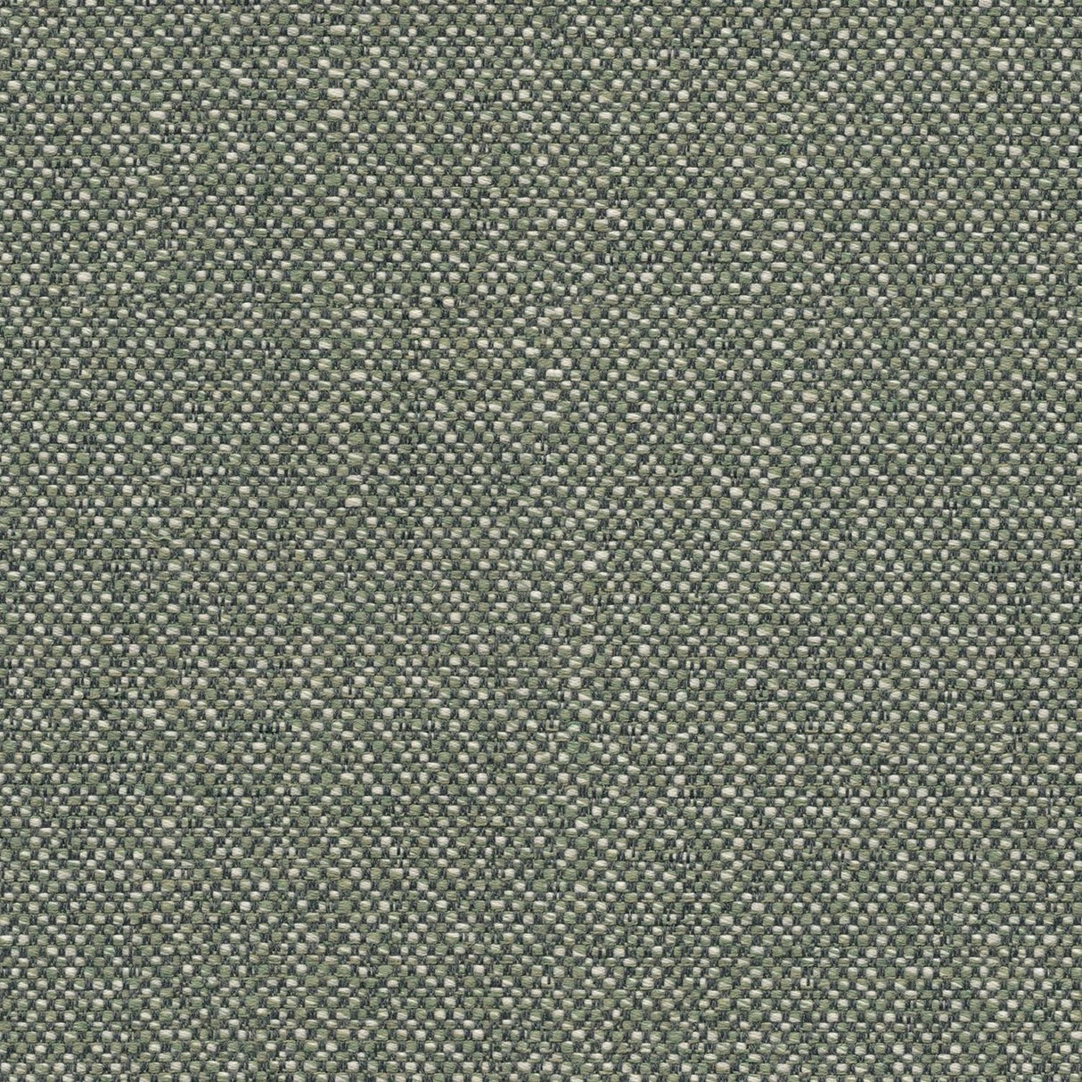 Sunbrella Savane Swamp SAV3 J449 140 European Collection Upholstery Fabric Sunbrella Savane Swamp SAV3 J449 140 European Collection Upholstery Fabric