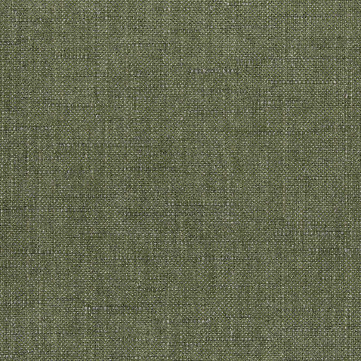 Sunbrella Willa Frond 146465-0035 Upholstery Fabric Sunbrella Willa Frond 146465-0035 Upholstery Fabric
