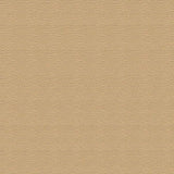 Sample of Top Gun FR Lite 719-LT Tan 62-Inch Fire Retardant Marine Topping and Enclosure Fabric