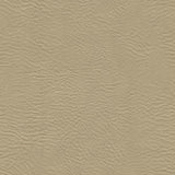 Burkshire 84 Neutral Contract Automotive and Marine Upholstery Fabric