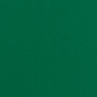 Sample of Patio 500 Dark Green 510 61-Inch Awning Fabric