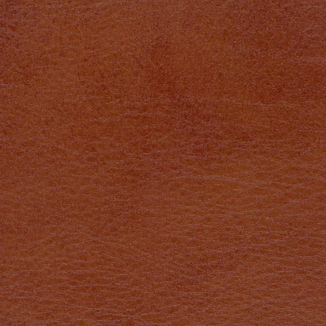 Sample of Softside Allegro 7065 Old Whiskey Automotive / Marine Upholstery Fabric