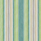 Phifertex Tempo Spearmint DCS 54-Inch Resort Collection Sling Fabric