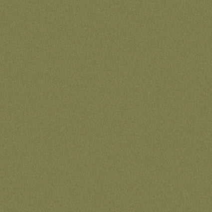 Sample of Outdura Solids Olive 5428 Modern Textures Collection Upholstery Fabric