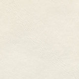 Sample of Ship to Shore Lunar White Automotive / Marine Upholstery Fabric