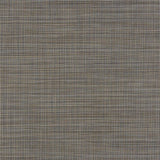 Phifertex Shelby Cadet Blue LDY 54-inch Wicker Weave Collection Sling Fabric