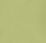 Olympus Honeydew OLY310ADF Contract Automotive and Marine Upholstery Fabric