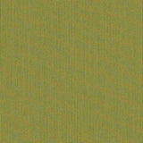 Sunbrella Canvas Lichen SJA 3970 137 European Collection Upholstery Fabric