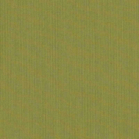 Sunbrella Canvas Lichen SJA 3970 137 European Collection Upholstery Fabric