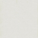 Sample of Ship to Shore Tradewinds 6648 Ultra White Automotive / Marine Upholstery Fabric