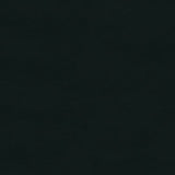 Spirit 393 Black Contract Automotive and Marine Upholstery Fabric