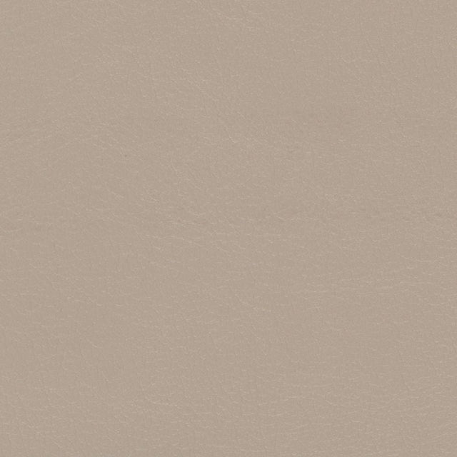 Sample of Softside Navigator 9896 Stone Automotive / Marine Upholstery Fabric